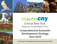 Image of front cover of CNY CEDS June 2020